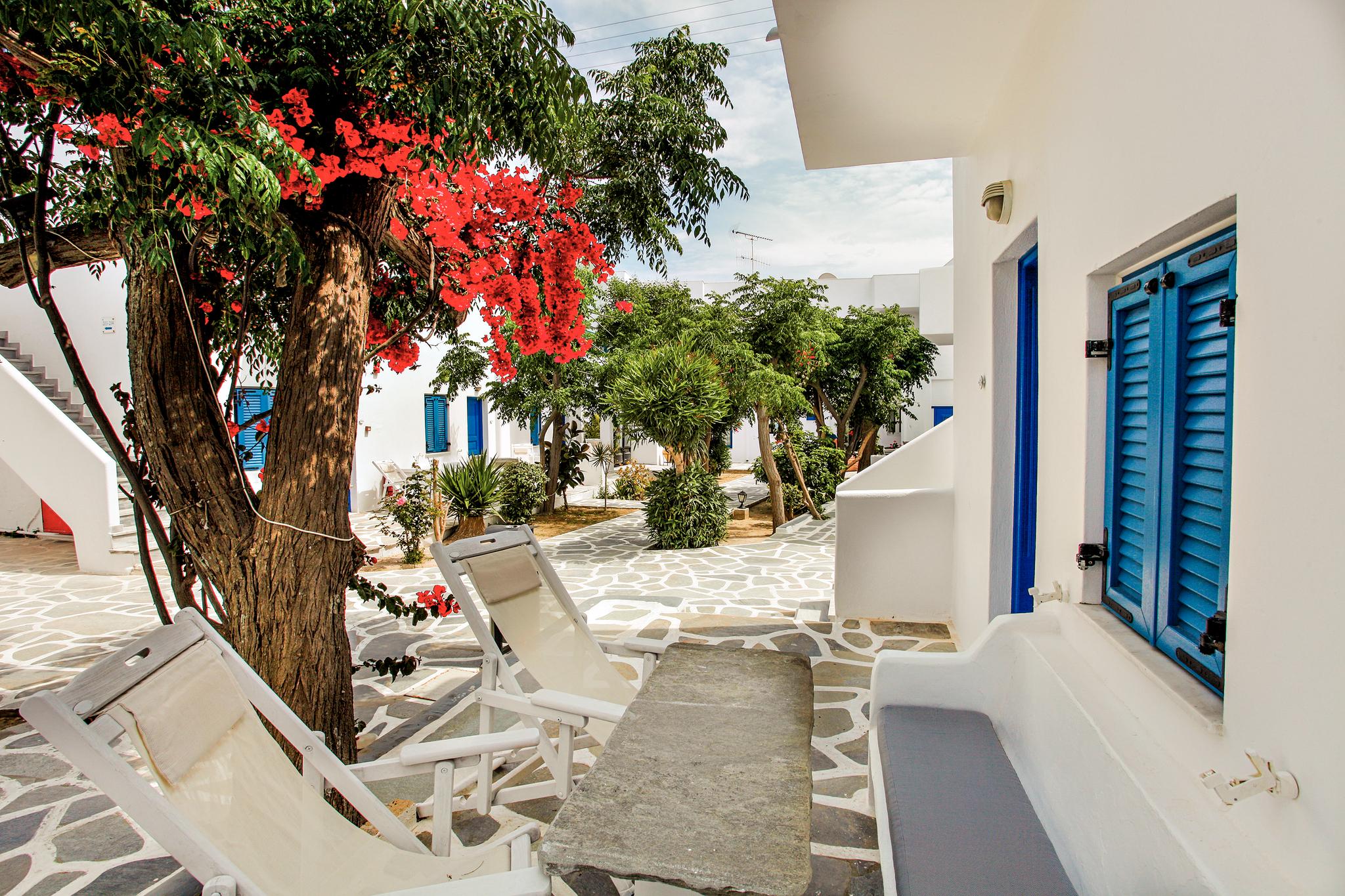 Acrogiali Beachfront Hotel Mykonos Platys Gialos  Dış mekan fotoğraf